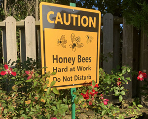 Caution - Honey Bees General Safety Signs