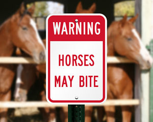 Size Options Safety for Horse Stables Posted Do Not Pet or Feed Horses Sign 