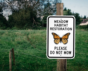Meadow Habitat Restoration Sign