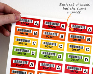 Sets of colored barcode labels