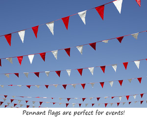 Vinyl Flags and Pennants