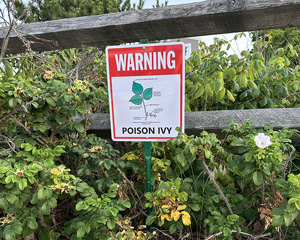 Poison Ivy and Poison Oak Warning Lawnboss  Sign