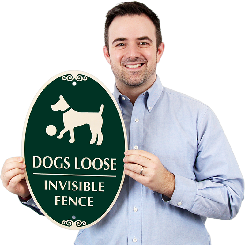 Losing dogs. Invisible Dog.