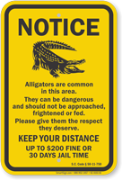 Keep Your Distance, South Carolina Alligator Warning Sign
