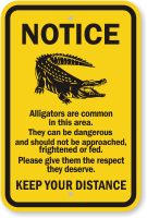 Alligators Area Keep Your Distance Notice Sign