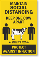 Maintain Social Distancing Keep One Cow Apart Sidewalk Sign Panel