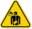 ISO Ingestion Hazard Symbol Warning Sign