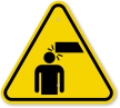 ISO Overhead Obstacles Symbol Warning Sign