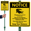 Alligators Common in Area, Keep Distance Lawnboss Sign