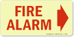 Glow-In-The-Dark Fire Alarm Sign
