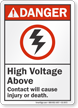 High Voltage Above ANSI Danger Sign