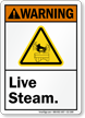 Live Steam ANSI Warning Sign