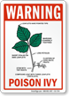 Warning Poison Ivy Sign