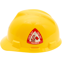 Triangle Hard Hat Decal