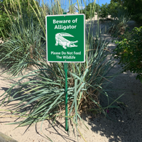 Beware of alligators sign